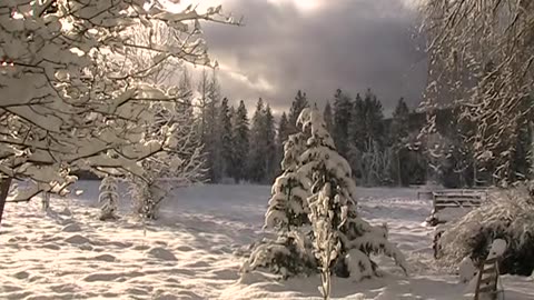 Morning With Snow Winter Pacific West Coast USA ~