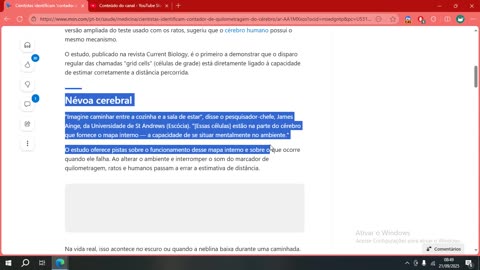 Cientistas identificam 'contador de quilometragem' do cérebro
