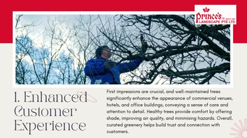 Trustworthy Tree Maintenance Services in Singapore - Prince's Landscape Pte Ltd