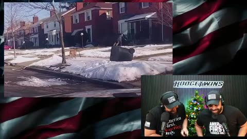 Pit Bull Attacks Mailman Then Whole Neighborhood Jumps In!