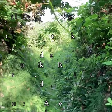 The Beauty of Being Human | Path and Tarot Reading