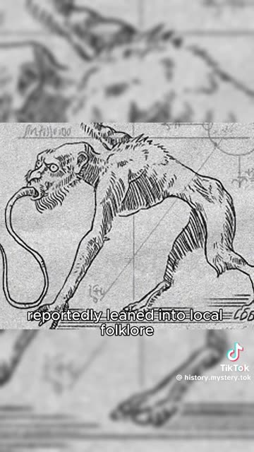 5 of The Strangest Secret Government Operations