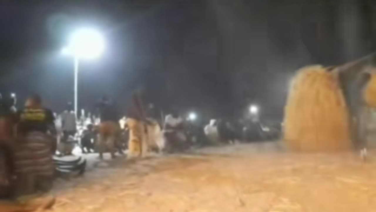 😨😱 What Kind of Ritual Is This? | TheHauntingHour