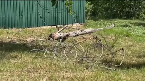 🚶‍♂️🛡️ Ukraine War | Evacuation from Kindrashivka, Kharkiv | RCF
