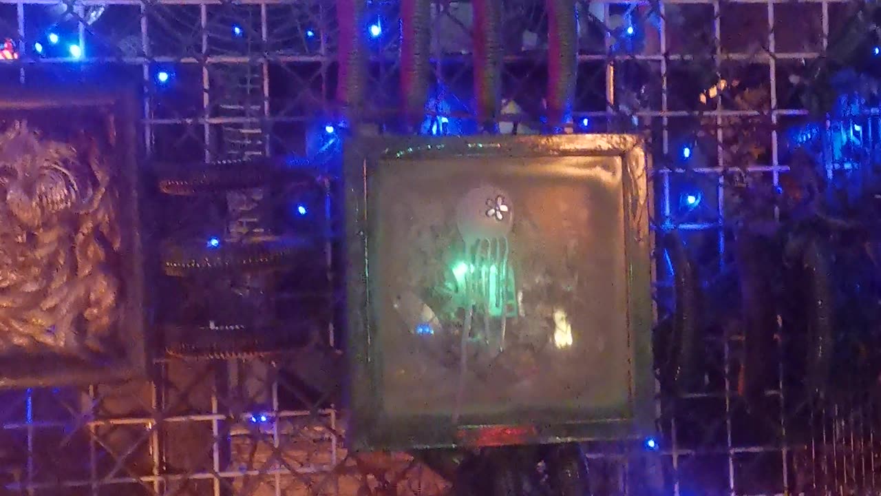 Zuom Karlos w Poznaniu
