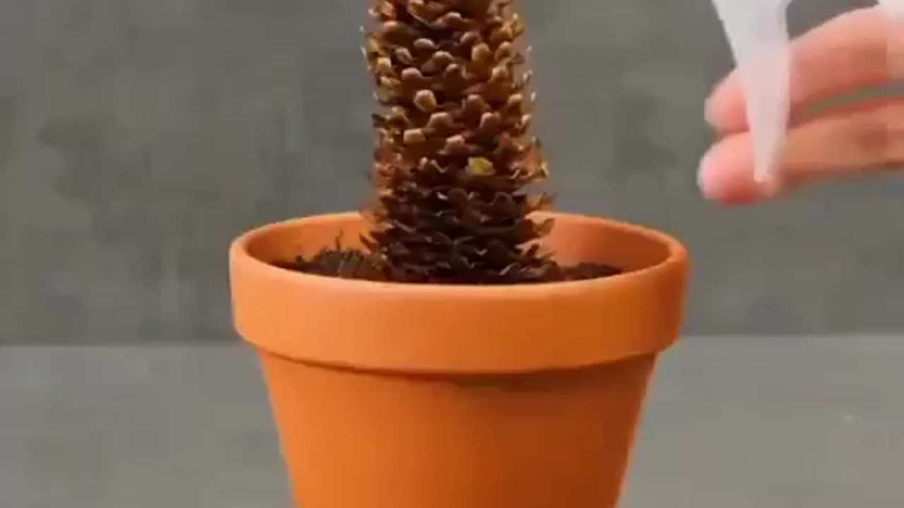 How to use banana in the garden