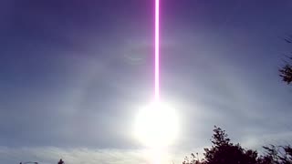 Dawg Sun 5/26/25: