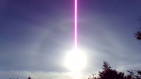 Dawg Sun 5/26/25: