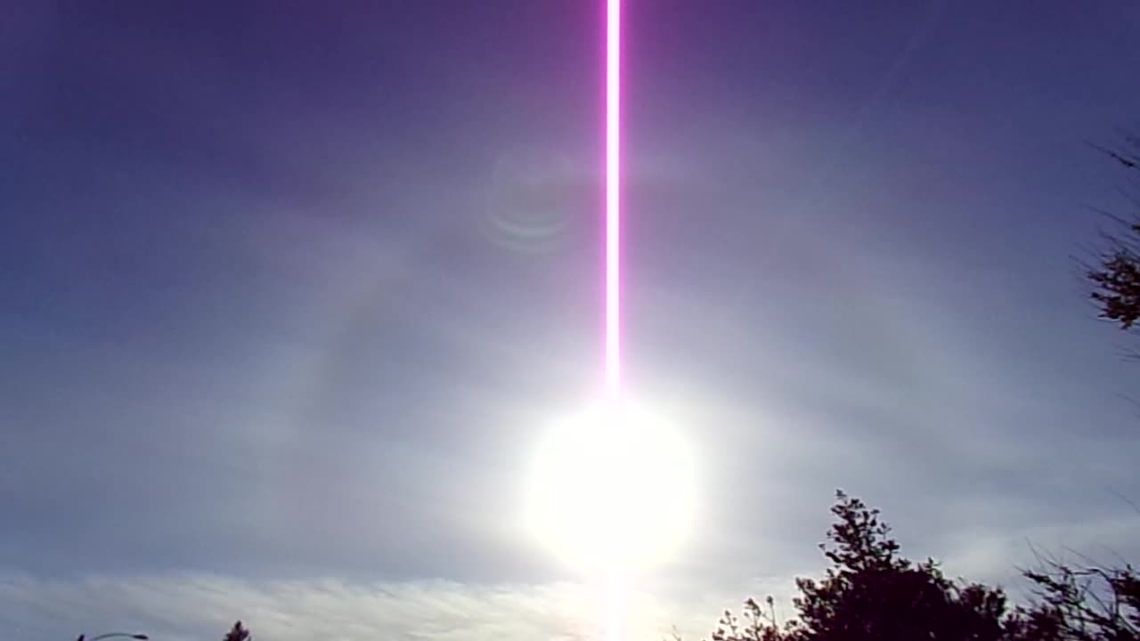 Dawg Sun 5/26/25: