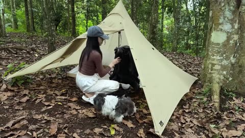Days Solo Camping - Bathing in the stream to relax the wildlife on the island Part#2