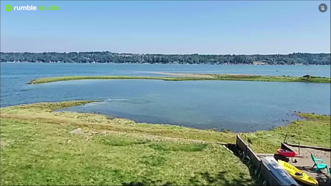 Summer sunshine on the way