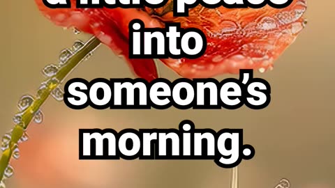 Share this loop to sprinkle a little peace into someone’s morning #goldenhourmeditation #peace