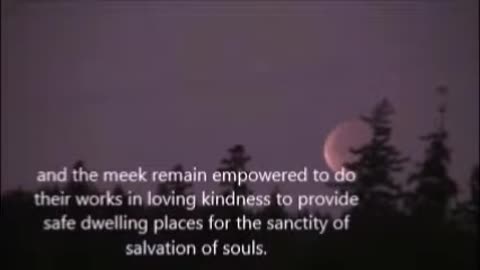 The Ox _ Lamb Kept Time in A Times Time Beyond MK Ultra Projects