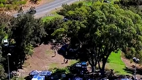 Local market stalled over parking council dispute A Current Affair Australia