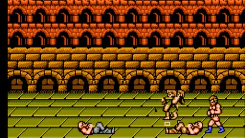 Double dragon 3 Madness