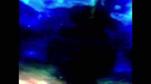 Finding Nemo Whale Darkness