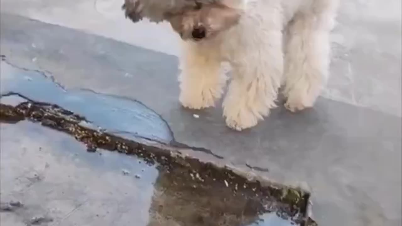 😂