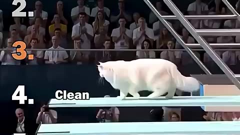 Ranking best AI cats Olympic Diving Moments