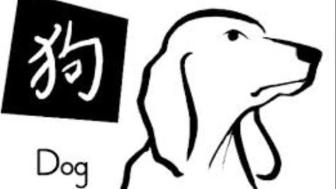 Year of the Dog - Chinese Zodiac