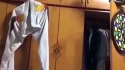 Funniest Cat And Dogs 😂 Funny Animal Videos