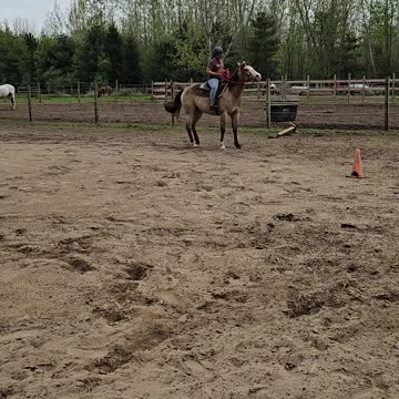 Turning barrel with keeping her forward and stops