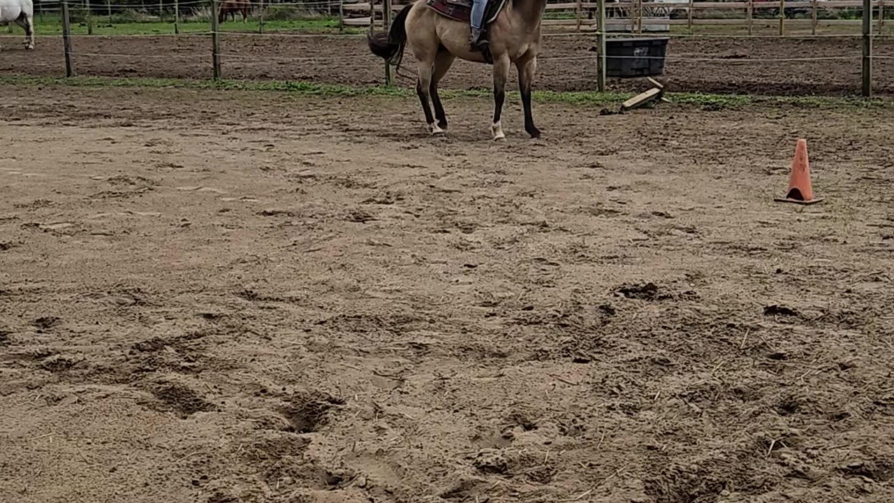 Turning barrel with keeping her forward and stops