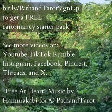 Adapt And Move Forward | Path and Tarot Reading