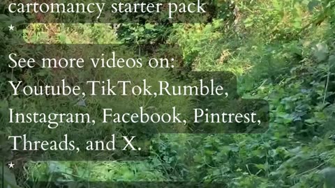 Adapt And Move Forward | Path and Tarot Reading