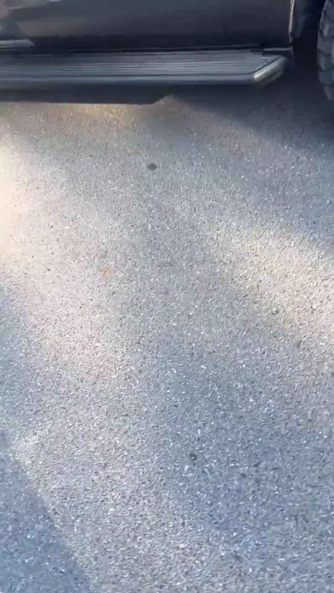 DHS agents detain two teens parents in San Juan, Texas. Why are these people