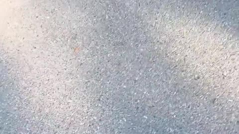 DHS agents detain two teens' parents in San Juan, Texas. Why are these people