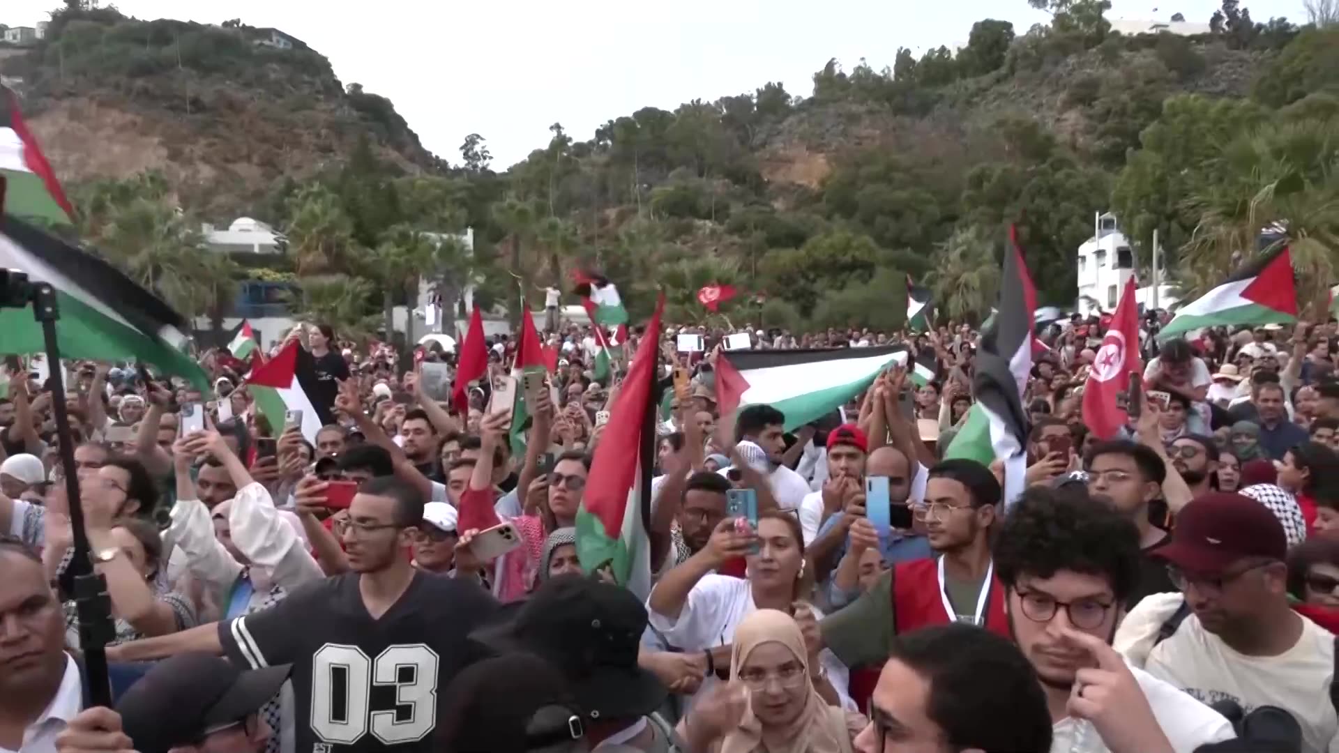 Flotilla of pro-Palestinian activists warmly welcomed in Tunisia