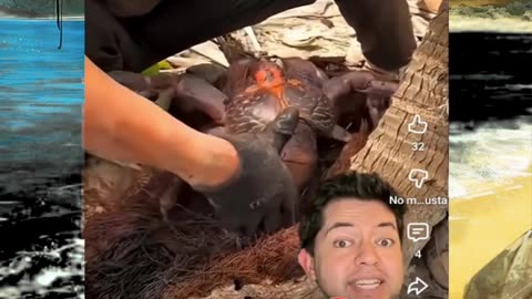 Just Keep watching 😜 #shorts #viralvideos #trending #funnyshorts #shortsfeed #memes #funny #anime