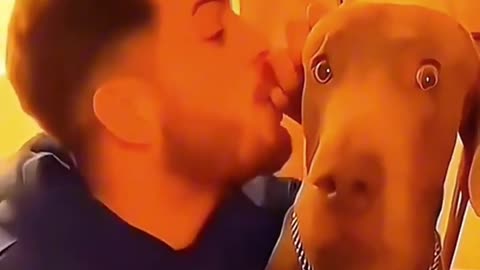 Dogs That Will Make You Laugh Out Loud! 😂🐶 | Cutest Funny Moments