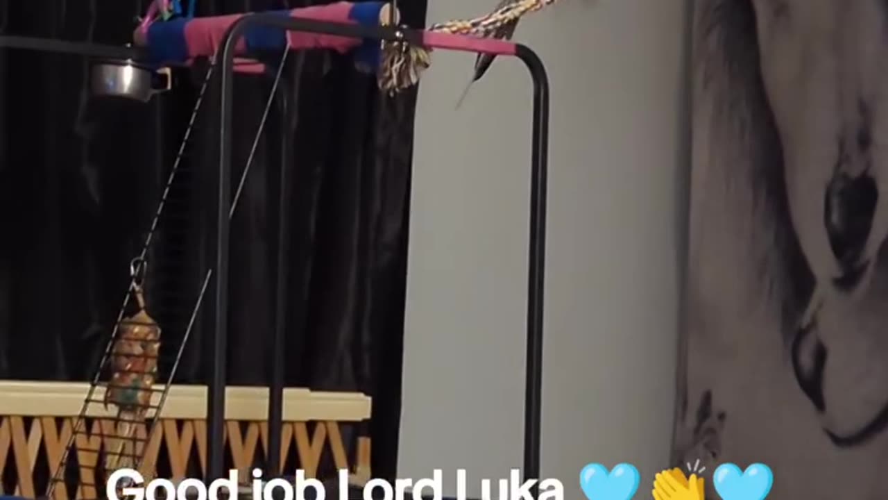 Lord Luka