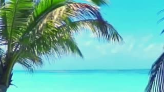 How to elevate your mood | Relaxing Piano Music 🎹