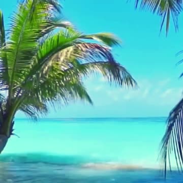 How to elevate your mood | Relaxing Piano Music 🎹