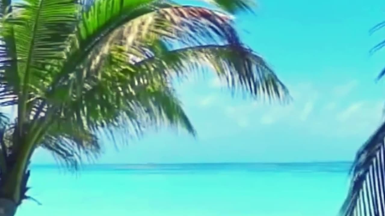 How to elevate your mood | Relaxing Piano Music 🎹