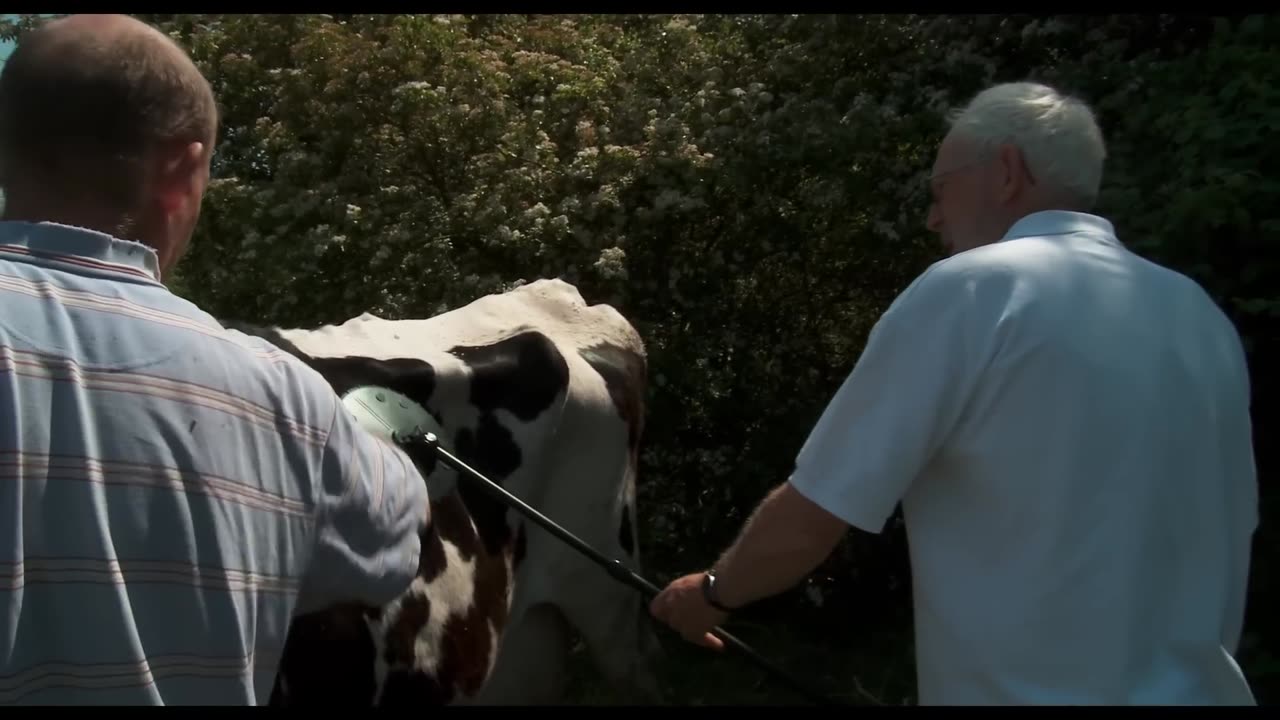 he Moo Man 🐄 | Small Farmers Under Attack | Sundance Official Selection 🎬