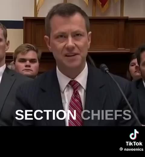 FBI Agent Peter Strzok - Crossfire Hurricane Traitor