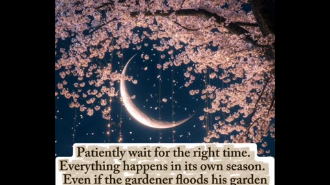 Wait for the Right Time | Motivational Quote about Patience"
