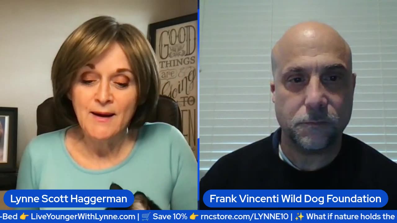 Slaughtered in New York 🐺 | The Shocking Truth About Coyote Killings & Government Cover-Ups