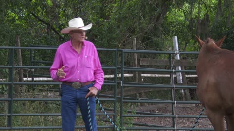 Cowboy Up 5-11