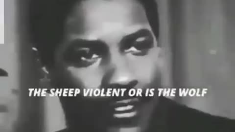 When the sheep become the wolves