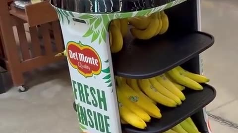 🤖🔥 You Won't Believe What This Robot Named Pineapple Does! | FunFM