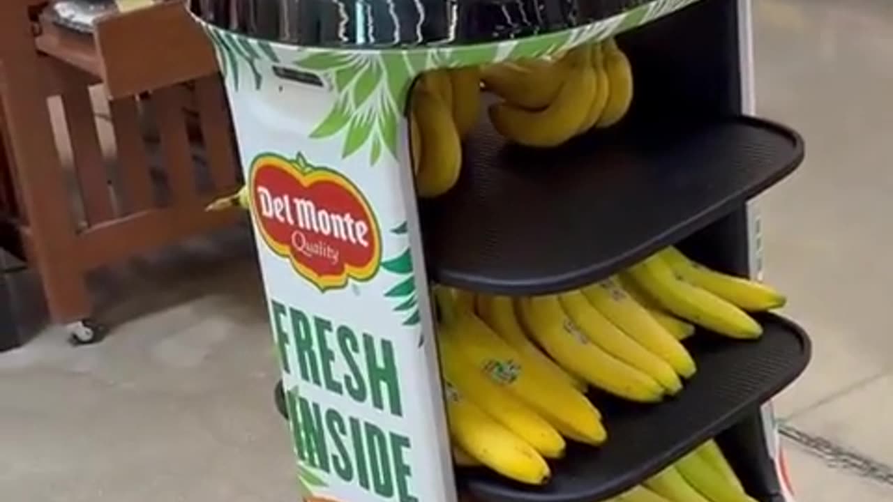 🤖🔥 You Won't Believe What This Robot Named Pineapple Does! | FunFM