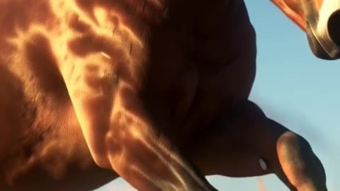 3d_animation _of_a_horse_running_at
