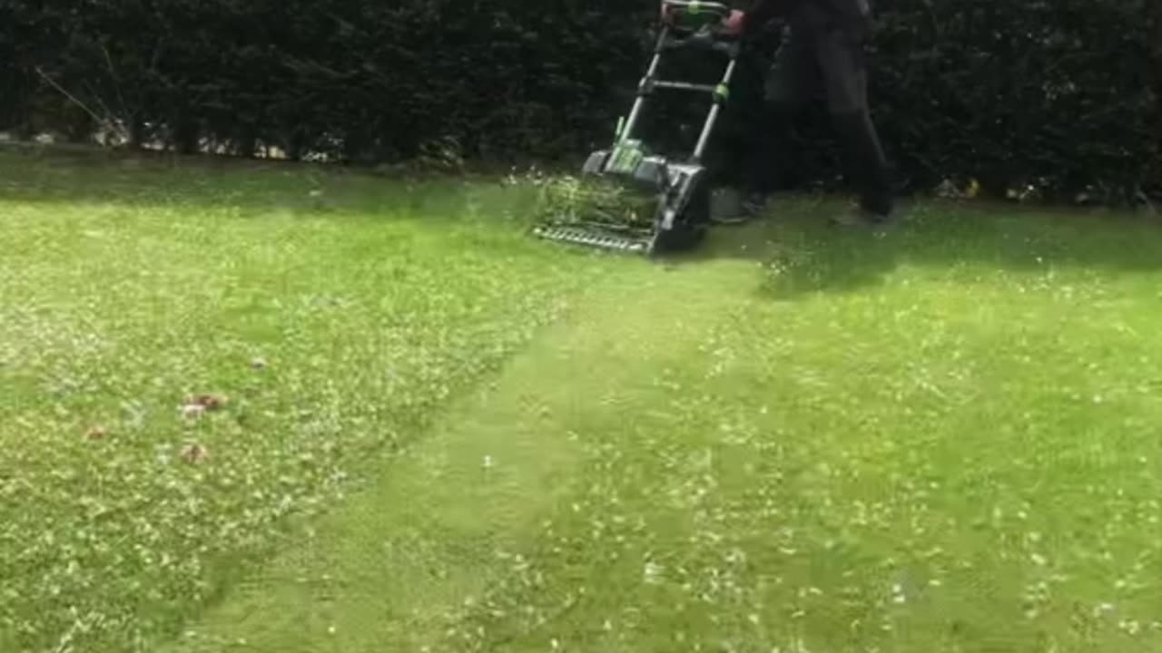 Top 5 future proof jobs 💵