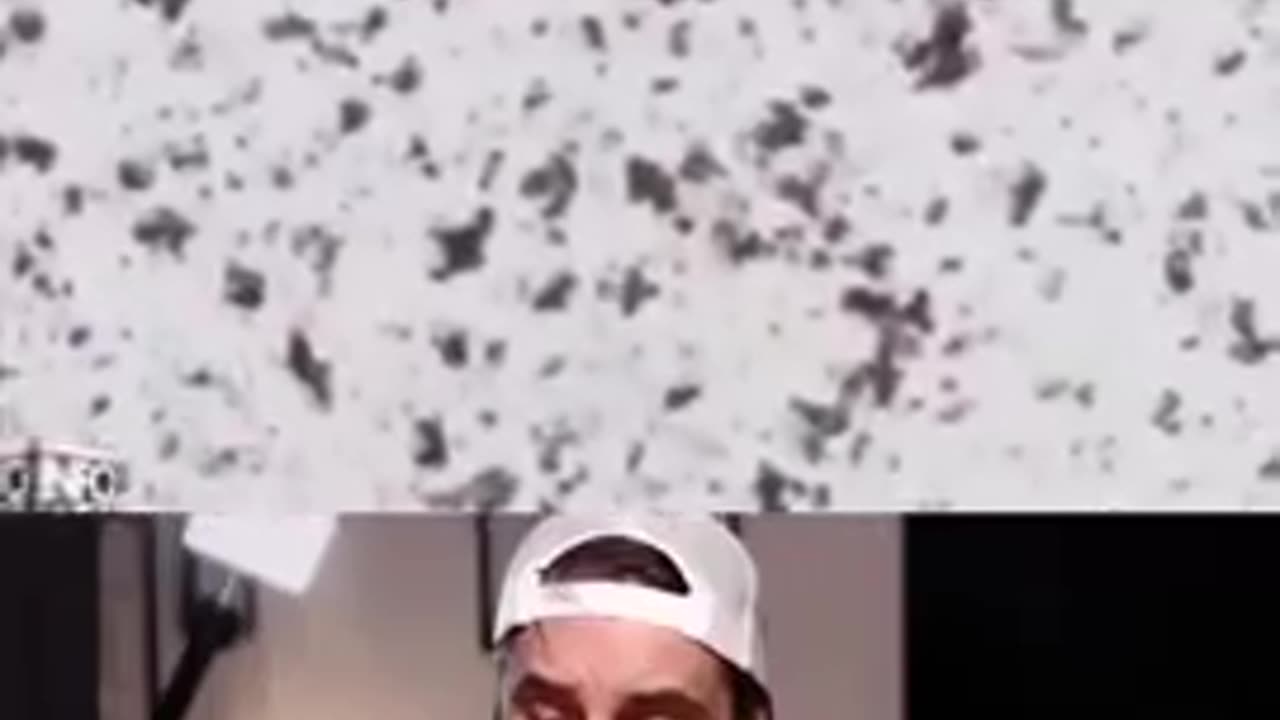 Dr. Ryan Cole - What jabs do to blood under the microscope