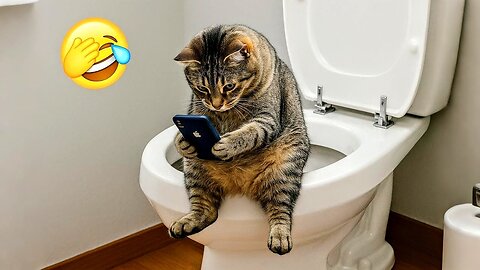 "Funniest Cat Fails Caught on Camera! 📸🐱"