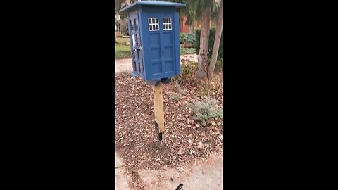 The Tardis Mini Free Library